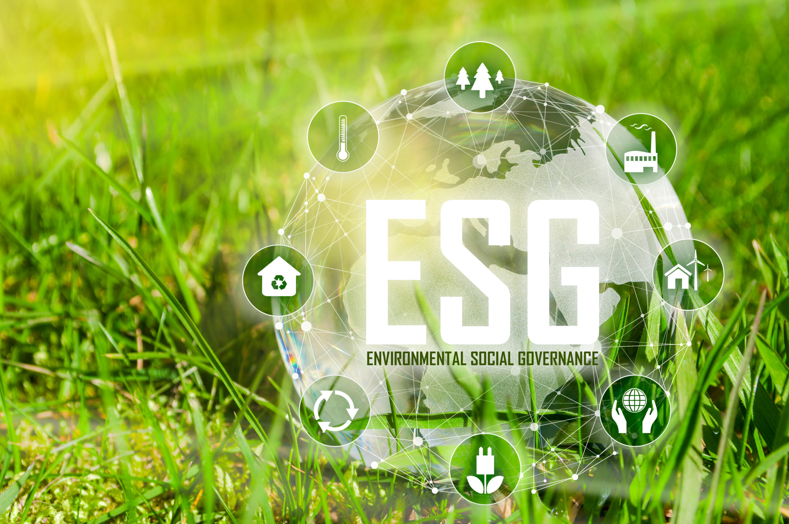 esg, environment, social, governance